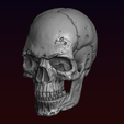 7.png Skull detailed