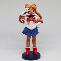 IMG_0305.jpg Sailor Moon
