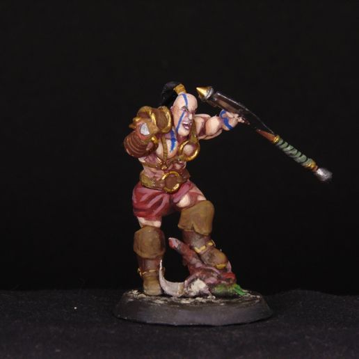 DSC02982.jpg Diablo 2 Bárbaro