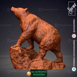 Render-2.jpg BEAR - WITHOUT SUPPORTS