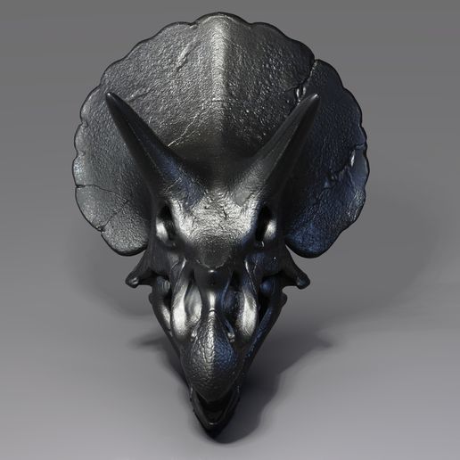 Triceratops Skull Render (2).jpg Triceratops Skull