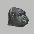 Gorilla-head-Ps5-controller-stand,-Monkey-head-ps5controller-holder,-Gorilla-bust-ps5-controller-Sta.jpg Gorilla head Ps5 controller stand, Monkey head ps5controller holder, Gorilla bust ps5 controller Stand, Perfect Gamer Gift, a295 (1)