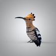 untitled.5637.jpg The hoopoe 3D model