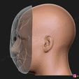 19.jpg The Legion Frank Mask - Dead by Daylight - The Horror Mask 3D print model