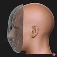 19.jpg The Legion Frank Mask - Dead by Daylight - The Horror Mask 3D print model