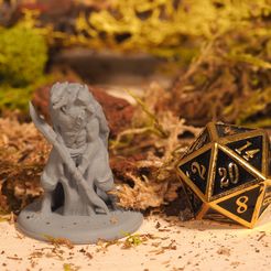 Dragonborn (1).JPG STL-Datei Drachengeboren - Tabletop-Miniatur kostenlos・3D-Druck-Modell zum herunterladen