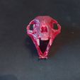 1614110082876.jpg "Cat Skull" : 3D file for sale