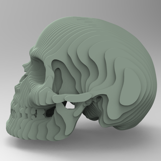 C2.png Skull slice