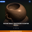 00_enhanced_hero.png Gothic Skull Succulent Planter Small - 3D Printable STL File