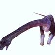 00.jpg DOWNLOAD Brachiosaurus 3D MODEL ANIMATED - BLENDER - 3DS MAX - CINEMA 4D - FBX - MAYA - UNITY - UNREAL - OBJ -  Animals & creatures Fan Art DINOSAUR PREHISTORIC Saurisquios Camarasaurio Nigersaurus Titanosaurus Antarctosaurus Antarctosaurus  Shunosaurus
