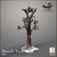 720X720-release-beech-1.jpg Beech Tree Winter/Summer versions - The Hunt