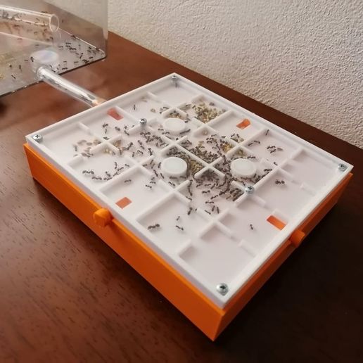 Formicarium 1.0