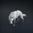 Wolf_8.jpg 3D-Datei Wolf・Design für 3D-Drucker zum herunterladen, AnimalDenMiniatures