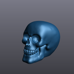 Skull.png Archivo STL calavera・Modelo de impresora 3D para descargar