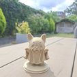 f5372b30-76ba-40a9-953f-5e2bf0fd87da.jpg Cute Ghost French Bulldog