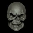 CraneoRender2.jpg Skull / Skeletor Skull