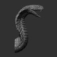 8.jpg Snake cobra