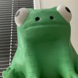 ftf-extreme-closeup-irl.jpg Fred the frog moneybox
