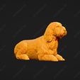 1063-Basset_Griffon_Vendeen_Petit_Pose_07.jpg Basset Griffon Vendeen Petit Dog 3D Print Model Pose 07