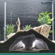 3D-printed-aquarium-cave-fish-hideout-pleco-cave-shrimp-shelter-fish-breeding-cave-betta-hideout-rep.jpg Unique Aquarium & Terrarium Elephant Nose Tunnel Cave | 3D Printable Fish Tank and Terrarium Decor | Fish, Reptile, Gecko and Snake Shelter STL