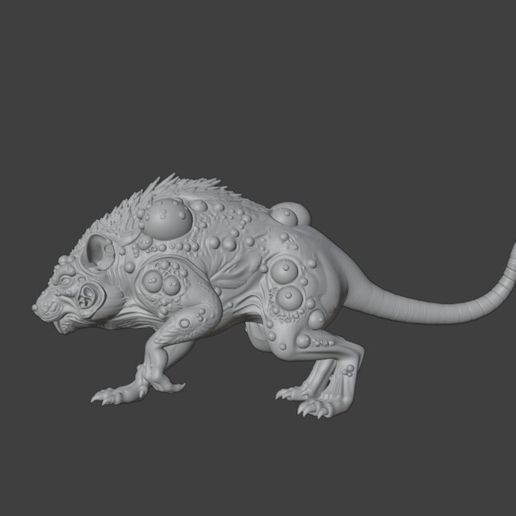 giant-rat-1.2.jpg Giant rat 1