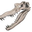 08.jpg Spinosaurus aegypticus