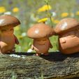 DSC_9604.jpg Animated Mushroom Child