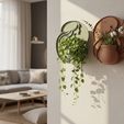 sdfdsfsd.jpg Artistic Wall Planters