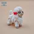 Pudlle_Img_Boxi3D_02.jpg POODLE - FLEXI - ARTICULATED - CUTE-PRINT IN PLACE