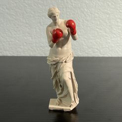 IMG_3370.jpg Fichier STL Vénus de Milo Boxe・Design pour imprimante 3D à télécharger