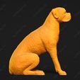 2526-Boxer_Pose_04.jpg Boxer Dog 3D Print Model Pose 04
