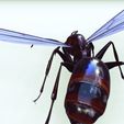 dsav.jpg ANT - DOWNLOAD ANT 3d Model - animated for Blender-Fbx-Unity-Maya-Unreal-C4d-3ds Max - 3D Printing ANT ANT - INSECT - POKÉMON - BUG - DINOSAUR - DRAGON - BEE