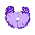brain F.stl Trippy Brain