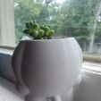 Peeing Baby Succulent (Plant Vase)