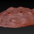 abalone-zbrush-03.jpg Concha de abulón para impresión 3D