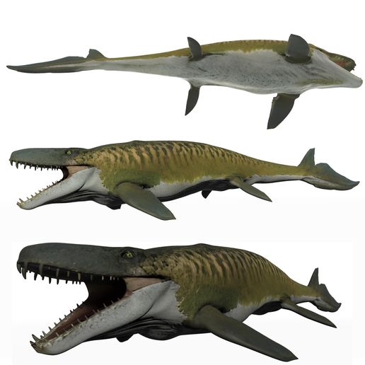 mosasaurus - 3D model önizlemesi