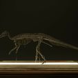 3.jpg Edmontosaurus skeleton