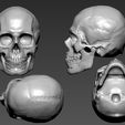 zbrush1.jpg Skull