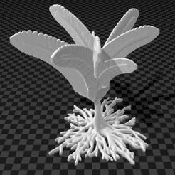 feather-tree.jpg STL-Datei Baumfeder・3D-Druckvorlage zum Herunterladen, syzguru11