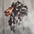 large_display_95ac9b0c-02bb-4ac2-a555-b9d2a757207b.jpg Geometric Lion wall art - B