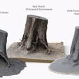 single_tree_stump_turntable_tree_fix_8.jpg Free STL file 3D Scanned Tree Stump for Tabletop Scatter Terrain・3D printable model to download