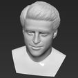 24.jpg Joey Tribbiani from Friends bust 3D printing ready stl obj formats