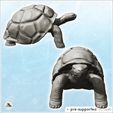 2.jpg Turtle (23) - Animal Savage Nature Circus Scuplture High-detailed