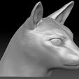 5.jpg Siamese Cat head for 3D printing