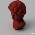 DAVID_07.png Parametric Head of David Digital File Package for 3D Printing/CNC/Laser