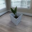 Butterfly_humming.jpg Creature Haven Cube Planter