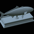 Greater-Amberjack-statue-48.png fish greater amberjack / Seriola dumerili statue detailed texture for 3d printing