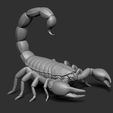11.png Scorpion
