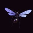 pn.jpg ANT - DOWNLOAD ANT 3d Model - animated for Blender-Fbx-Unity-Maya-Unreal-C4d-3ds Max - 3D Printing ANT ANT - INSECT - POKÉMON - BUG - DINOSAUR - DRAGON - BEE