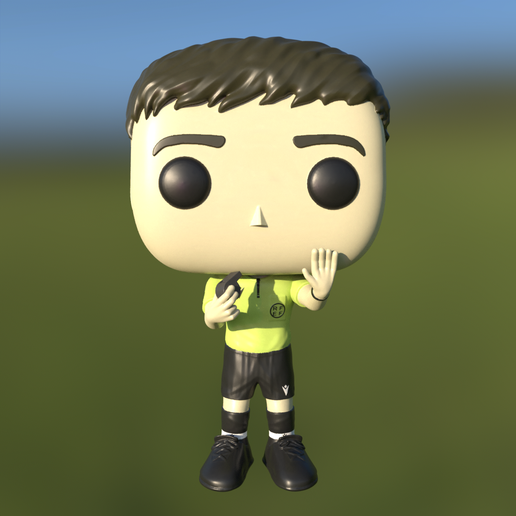 Soccer referee